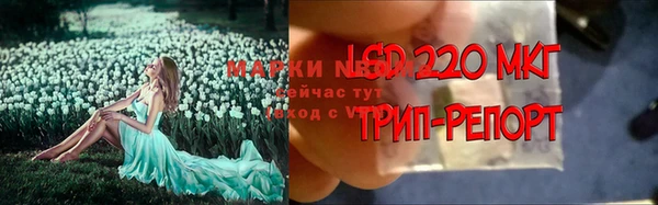 шишки Кукмор