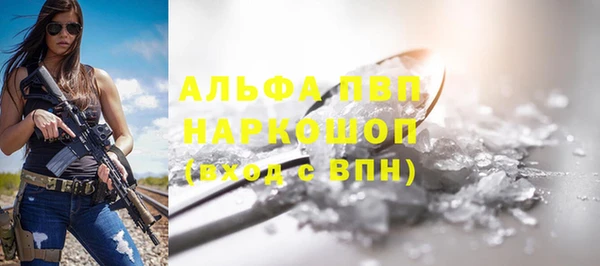 прущие грибы Красноперекопск