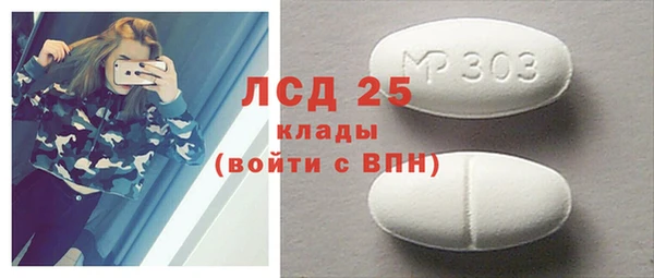 прущие грибы Красноперекопск
