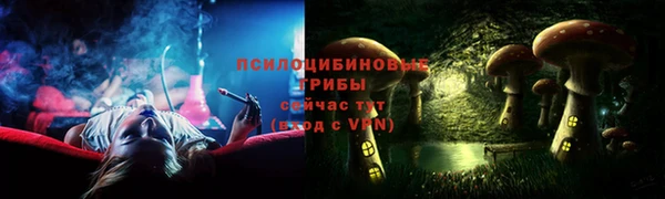 шишки Кукмор