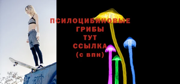шишки Кукмор