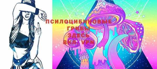 шишки Кукмор