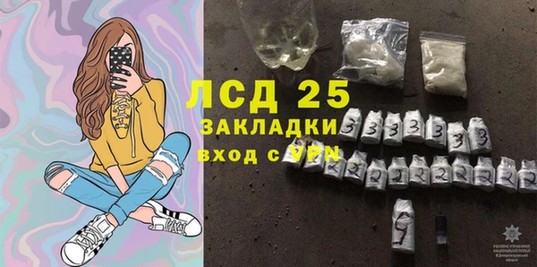 соль ск Новозыбков