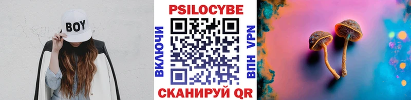 купить  цена  Тамбов  Псилоцибиновые грибы ЛСД 