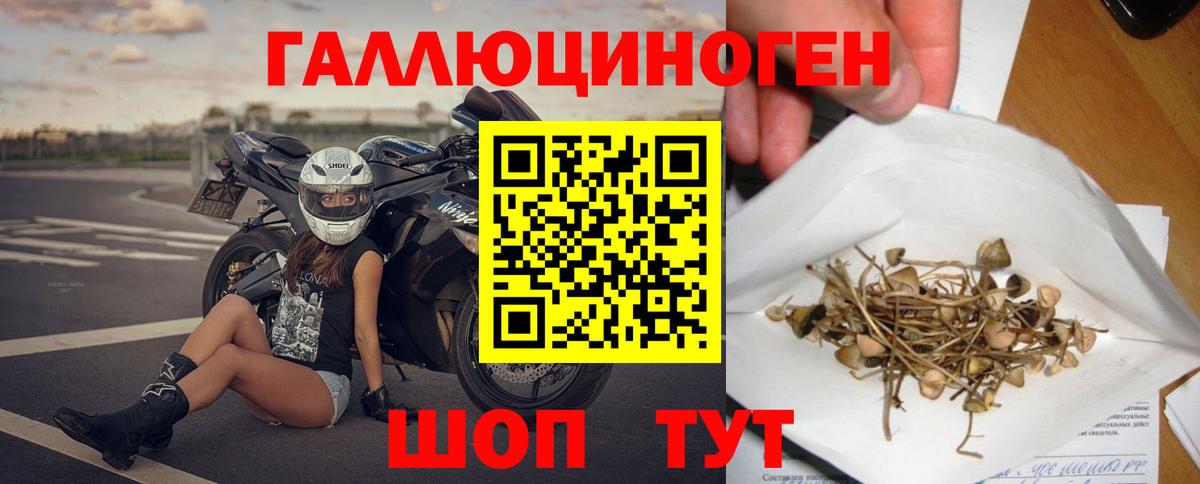 Галлюциногенные грибы Magic Shrooms  Вход с VPN  Тамбов 