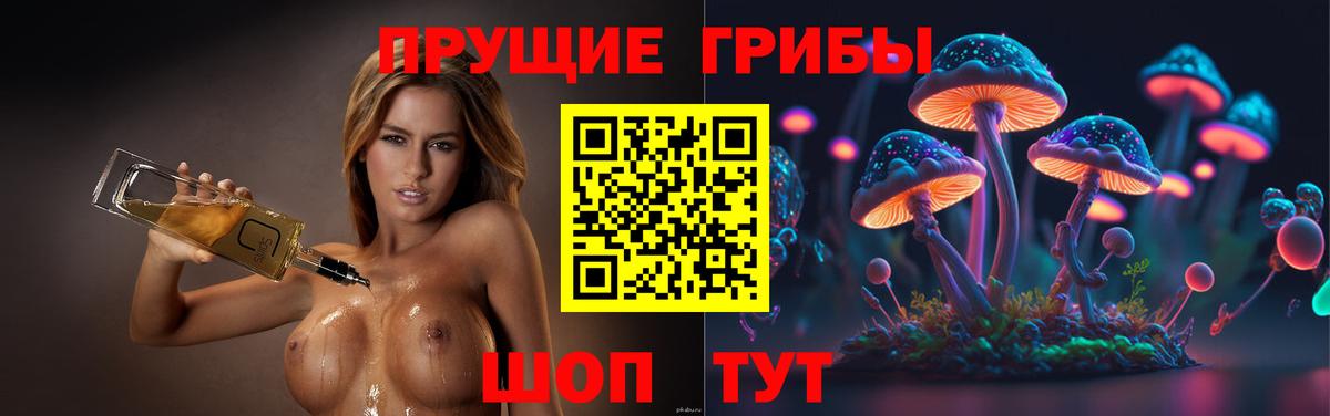 Псилоцибиновые грибы Magic Shrooms Тамбов